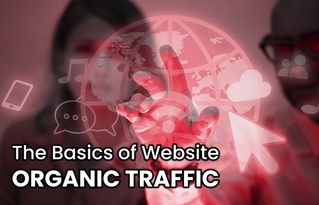 <strong>The Basics of  Website Organic Traffic</strong>